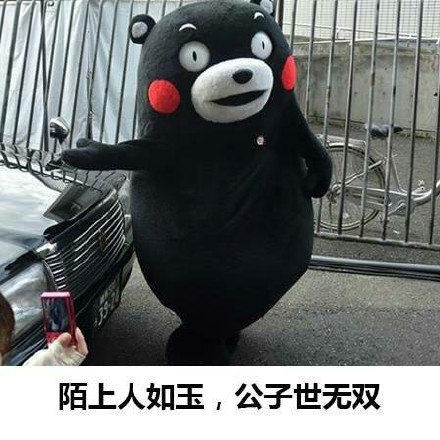 熊本熊表白微信表情包 熊本熊表白微信表情包第5张